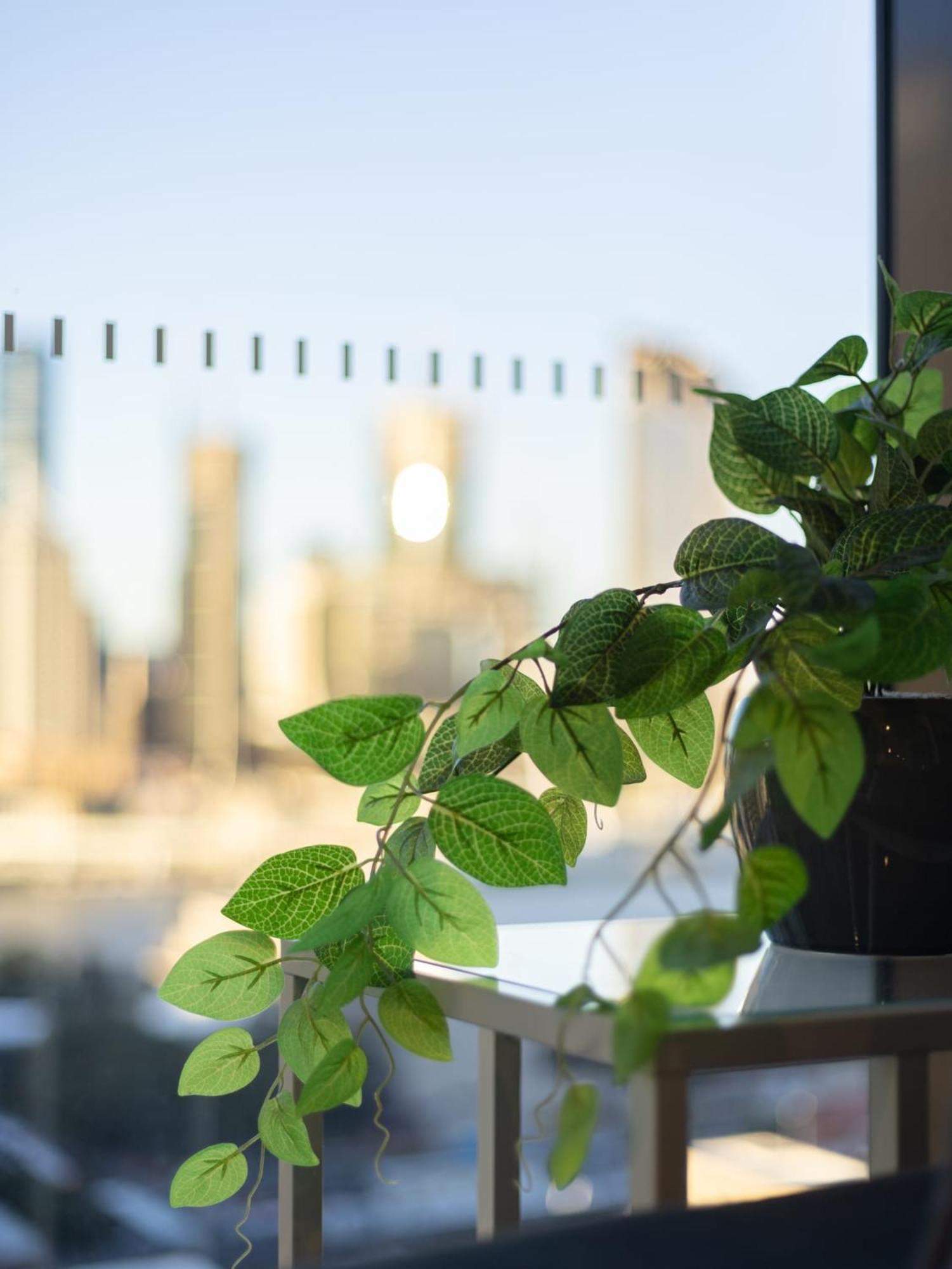 Explore Bne From Our Cute 1-Bed Apartment In South Brisbane Exterior photo